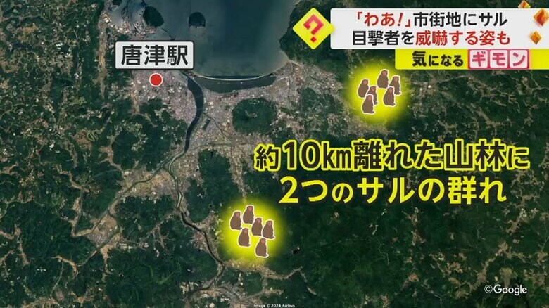 2つのサルの群れが確認されている約10km離れた山林
