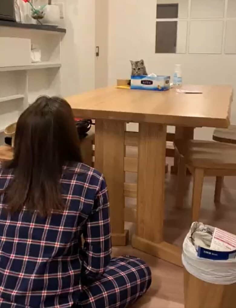 タッチ成功バージョン