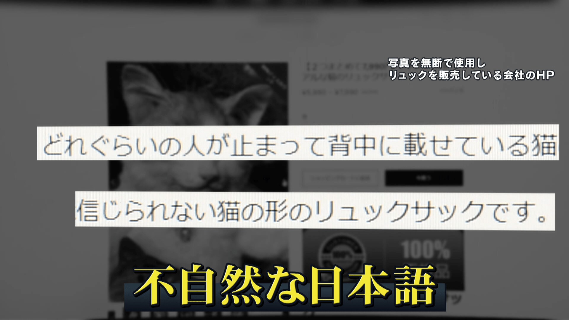 追跡 ニセ猫型リュックだまされたu字工事 全然違うベな 中国業者は直撃に 模倣は当然 Fnnプライムオンライン Goo ニュース