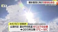 樹氷復活県民会議～樹氷再生の現状は…