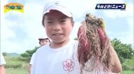 「大きいイモを探すのが楽しい」串間市名産のかんしょ　園児と児童が収穫体験