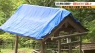 「峰竜太さんも悲しんでいると思う」　妻・海老名美どりさんと結婚式を挙げた神社で“盗難”　屋根の銅板がはがされる　総代長が怒り「青天の霹靂、罰当たりめ」　長野・下條村