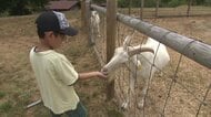 昭和63年のオープンから40年　自然の中で動物と触れ合う「どんぐり村」　惜しまれながら思い出の観光施設が閉園へ