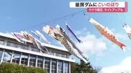 釜房ダムに３０匹のこいのぼり　サクラとの競演で春の景色を満喫〈宮城・川崎町〉