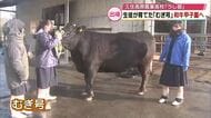 和牛甲子園に「むぎ号」出品へ　農業高校で激励会　大分