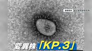 【再流行】新型コロナ「KP.3」増加傾向…特徴と対処法を専門家が解説 橋下徹弁護士“ゾコーバ処方され症状改善”