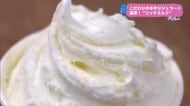 宮崎市にオープン！ジェラート専門店【トレリン】