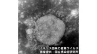 新型コロナの ”変異株” 北海道初「感染が疑われる事例」…原則入院の対応へ