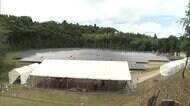 “セブン専用”の太陽光発電所 全国1万超店舗“パネル”設置へ
