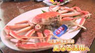 まるごと1匹「松葉がに」付き！“破格”のチャーター機　隠岐日帰り旅行【島根発】
