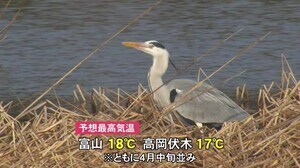 最高気温は富山市18度予想…日中は4月中旬並みの陽気となる見込み バードウォッチング楽しむ愛好家も