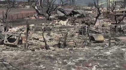 約1000人と連絡とれず…マウイ島・山火事の死者93人に　「一夜で全て失った」現地日本人が恐怖語る