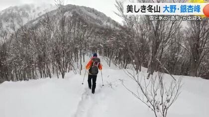 雪をたくわえ白銀に染まる「銀杏峰」　県内屈指の美しい冬山をガイドと登る“小旅”　福井