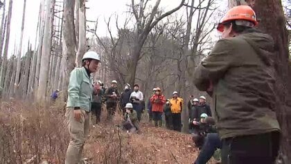 山林火災の被害木「早期に伐採・利用を」　専門家が劣化のリスクを指摘　岩手県大船渡市