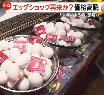 タマゴまた値上がり…“盛り盛り”タマゴサンドが大好評の喫茶店は「我慢するしかない」　北海道では今季初の鳥インフルエンザ感染