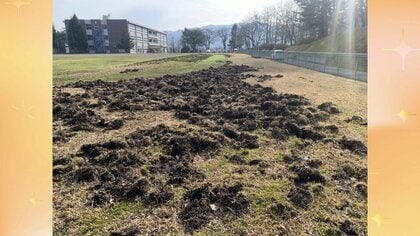 イノシシの脅威…秋田の生活圏に迫る　小学校のグラウンド掘り返すなど被害が深刻化　「クマより厄介」と専門家が警鐘