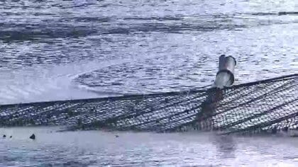 「文化守りたいが非常に厳しい」サケ漁の施設被害　遡上するサケを捕るための杭が倒れる　青森県東方沖の地震　岩手県宮古市