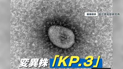 【再流行】新型コロナ「KP.3」増加傾向…特徴と対処法を専門家が解説　橋下徹弁護士“ゾコーバ処方され症状改善”