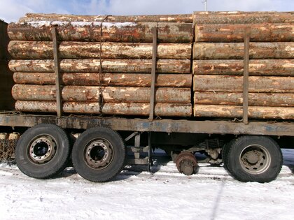 木材を大量に積んだ大型トラックの左後輪からタイヤ2本外れる「車体の傾きを感じて停止した」脱落後に消火栓に衝突するも巻き込まれやケガ人なし…自社の整備工場で12月上旬に冬タイヤに交換＜北海道苫小牧市＞