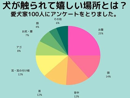 犬が触られて1番喜ぶ場所は でした 愛犬家100人に愛犬が1番触られて喜ぶ場所をアンケート調査しました