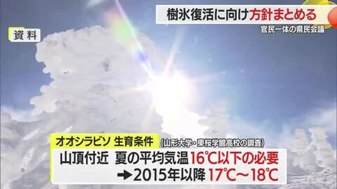 樹氷復活県民会議～樹氷再生の現状は…