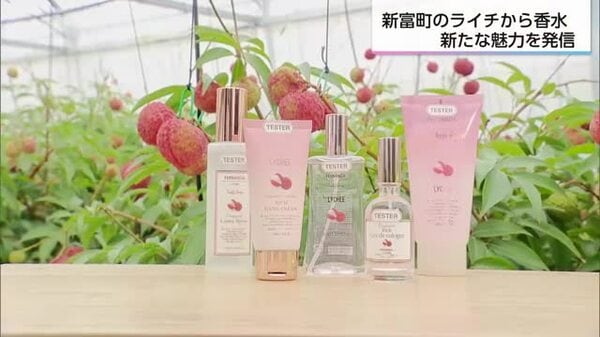フェルナンダ 宮崎県新富町産ライチの「規格外品」を用いた香水を数量