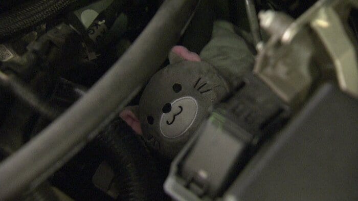 運転前に「ネコチェック」をお忘れなく！
