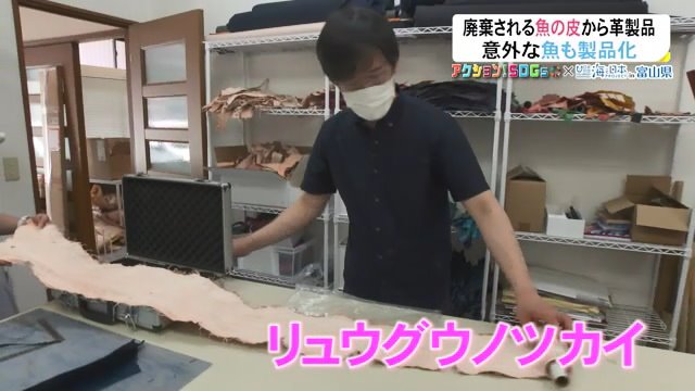 珍しいリュウグウノツカイも