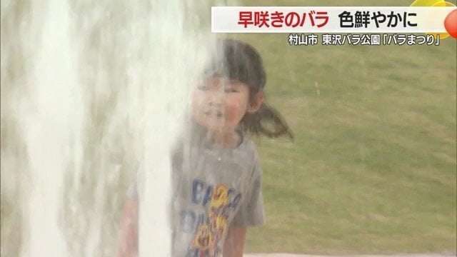噴水で涼みながらバラ公園を楽しむ