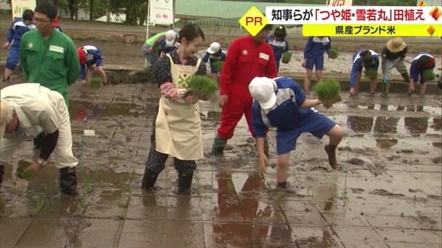 地元の小学生と一緒に田植えを行う「つや姫レディ」