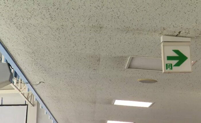 湿気によって天井に黒い汚れが発生している