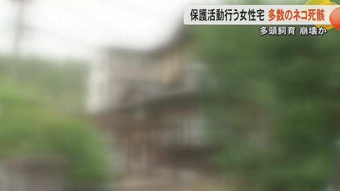 多数のネコの死骸が見つかった家