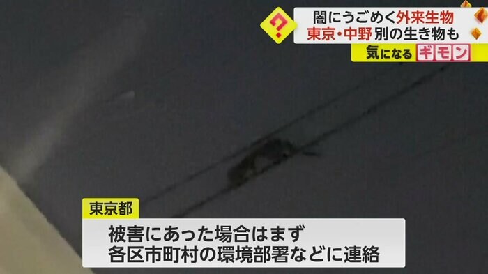 (画像:ビデオPost(FNN投稿サイト))