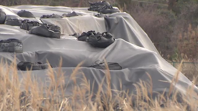 中間貯蔵施設に保管されている除染土