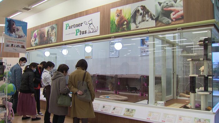 金沢・パートナープラスもりの里店