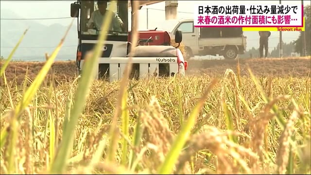 新酒仕込み量減少で酒米農家にも影響【日本酒】コロナ禍で出荷量減少 金賞受賞数日本一の福島県