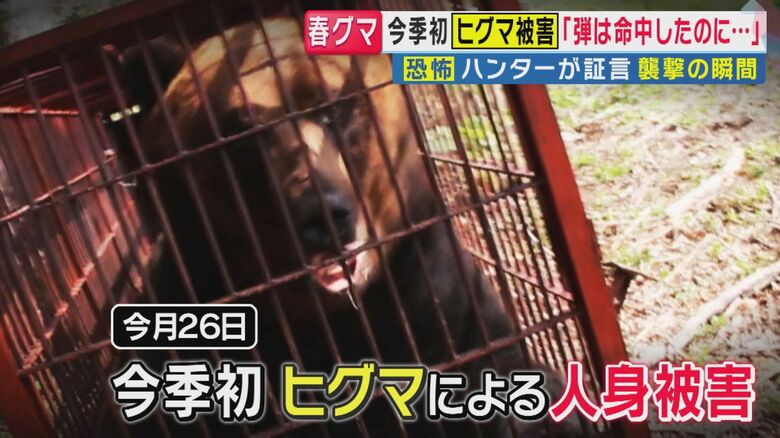 「弾は命中したんですけど、それでも絶命しなくて」冬眠明けの“巨大ヒグマ”がハンターを襲った恐怖の瞬間　今季初の「ヒグマ人身被害」　専門家が指摘する“危険の連鎖”　GW以降、人里でもさらなる警戒を｜FNNプライムオンライン
