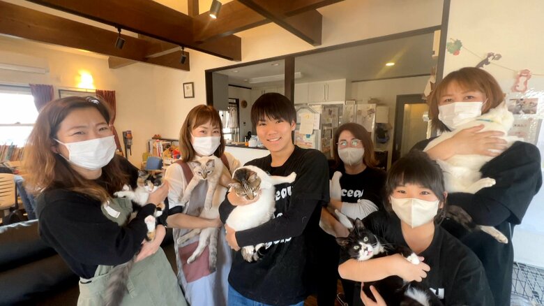 自宅で野良猫など100匹以上保護…NPO法人理事長は16歳高校生！小学5年生で活動開始「こういう団体がいなくなる社会を作る」【アスヨク！】｜FNNプライムオンライン