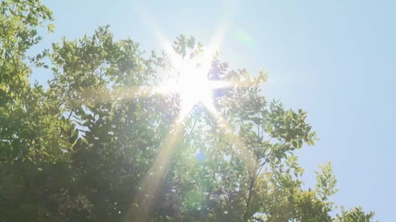 富山市35度・高岡市35.6度の危険な暑さ 10代から80代まで13人が熱中症の疑いで搬送｜FNNプライムオンライン