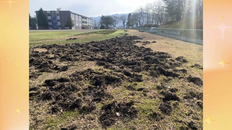 イノシシの脅威…秋田の生活圏に迫る　小学校のグラウンド掘り返すなど被害が深刻化　「クマより厄介」と専門家が警鐘｜FNNプライムオンライン
