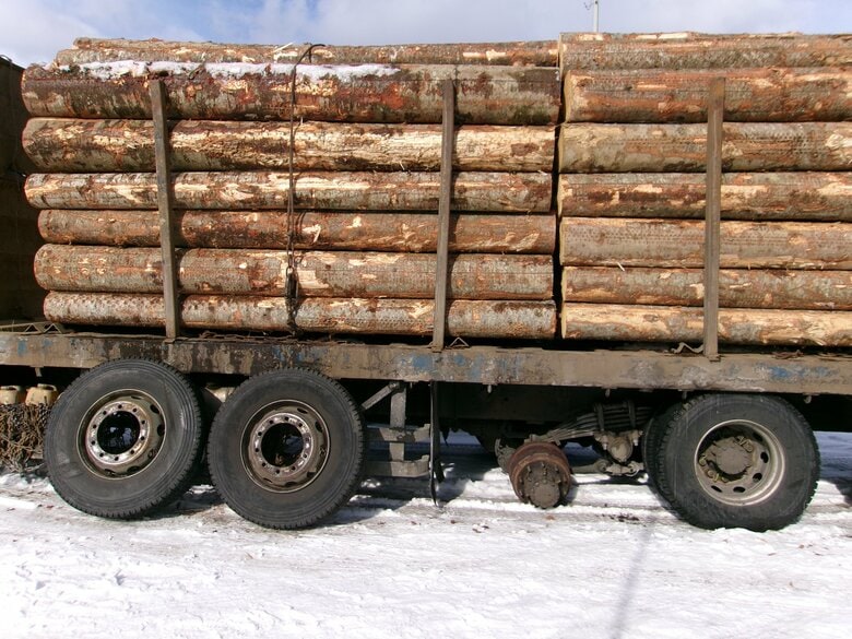 木材を大量に積んだ大型トラックの左後輪からタイヤ2本外れる「車体の傾きを感じて停止した」脱落後に消火栓に衝突するも巻き込まれやケガ人なし…自社の整備工場で12月上旬に冬タイヤに交換＜北海道苫小牧市＞｜FNNプライムオンライン