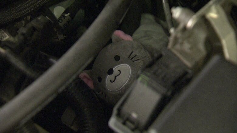 運転前に「ネコチェック」をお忘れなく！