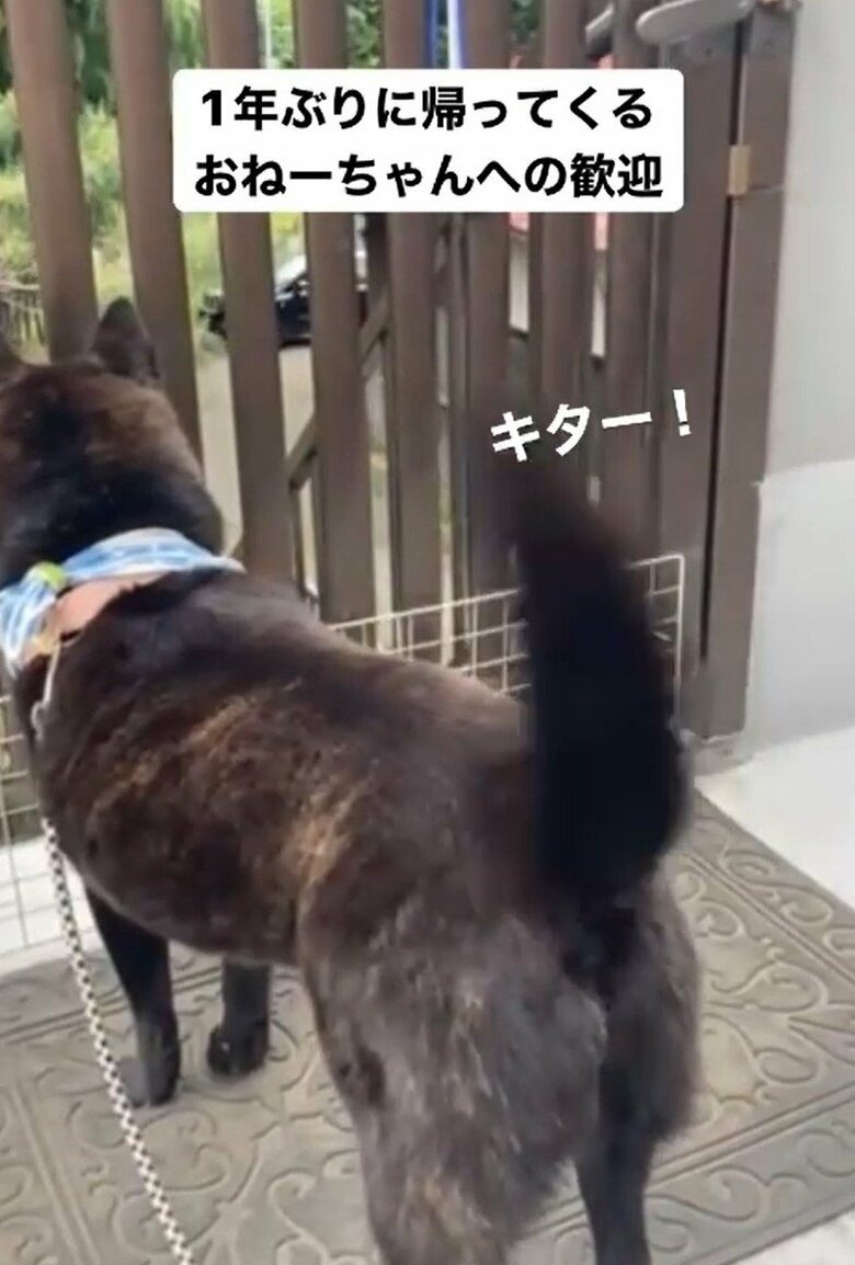 長女さんの車に反応