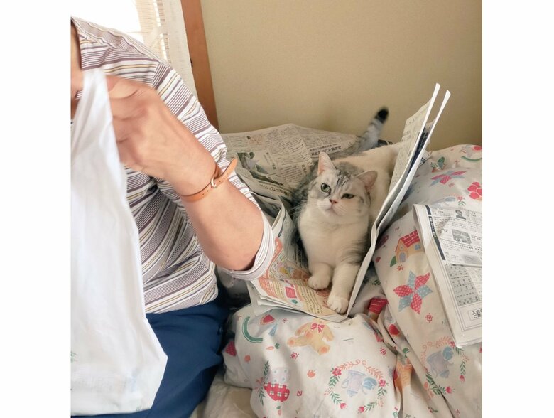 おばあちゃんへ向けた視線が怖い…（提供：まさまささん）