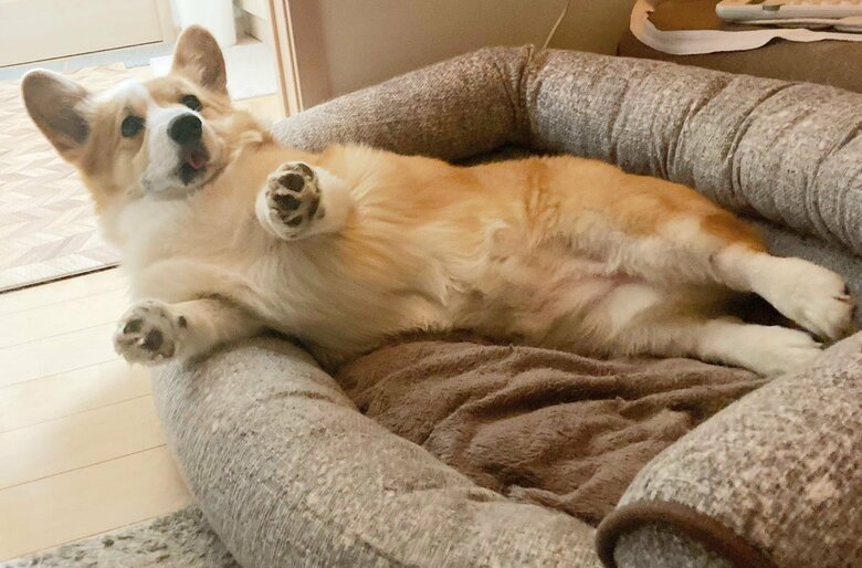 提供：むぎん家＠きよらさん