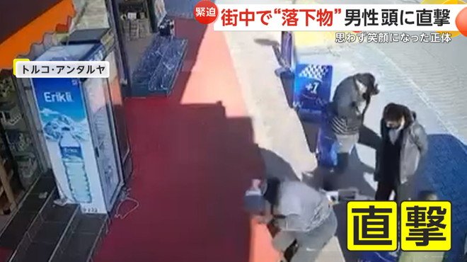 男性の頭にネコが落ちてきた瞬間