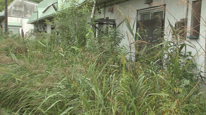 公営住宅の近くにはクマが隠れられるような草むらが