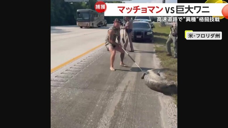 ワニを棒で抑えつつ道路に引きずり出したマッチョマン（Jacksonville Sheriff's Office）