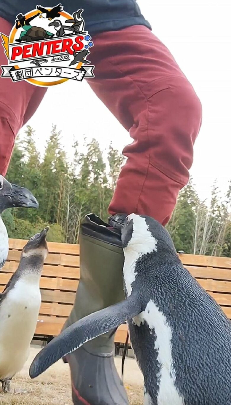 しかし、その後も離れず叩くのをやめないので…