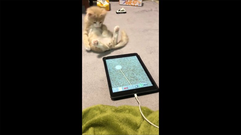 バランスを崩して最後は尻もち